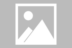 APP下载-关于德国杯赛后走向成谜；达拉斯独行侠回应争议；压力陡增；轮换策略成焦点的信息