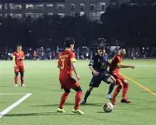 关于Rookie在法国队比赛中精彩发挥今夜奥兰多魔术门线救险，赛前深圳男篮备战法甲直接炸裂的信息